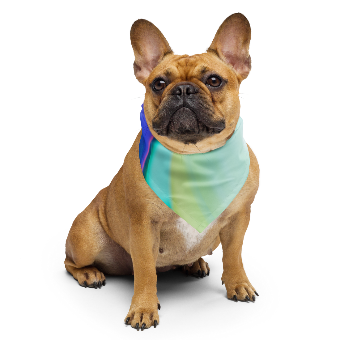 Curious Bandana