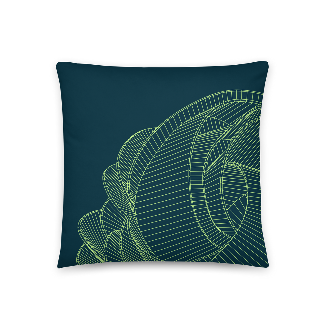 Curious Lines I Pillow