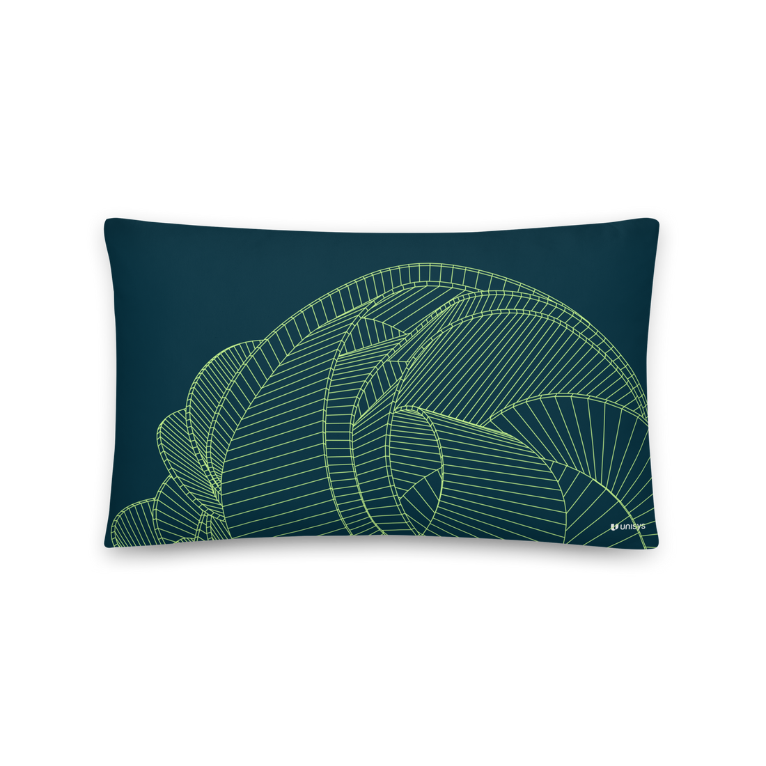 Curious Lines I Pillow