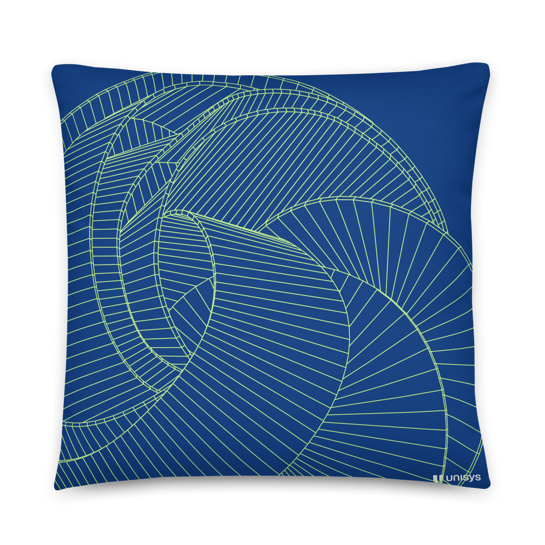 Curious Lines II Basic Pillow